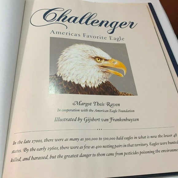 Challenger Americas Favorite Eagle Margot Raven 2005 Bald Eagle Reference - Picture 2 of 12